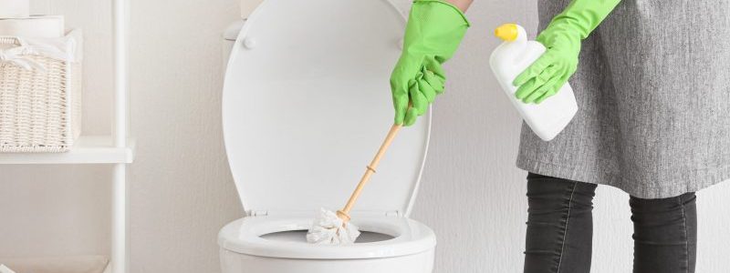 Produto caseiro para limpar banheiro